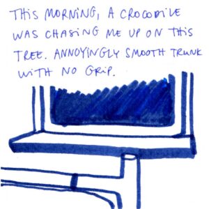 Diary comics, panel 1. We can see a part of a headboard and a window, it's dark outside. Caption: "This morning, a crocodile was chasing me up on this tree. Annoyingly smooth trunk with no grip.